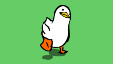 Duck Wallpaper:Eaqt9fmhbqo= Gif Wallpaper Funny