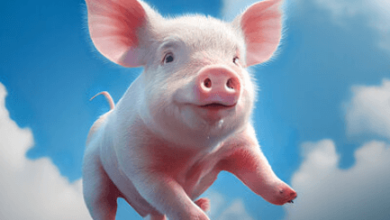 Cute:Pamwaummhqs= Pig