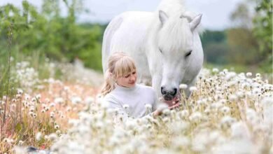 Beautiful:9rmr7xnzchw= Horses