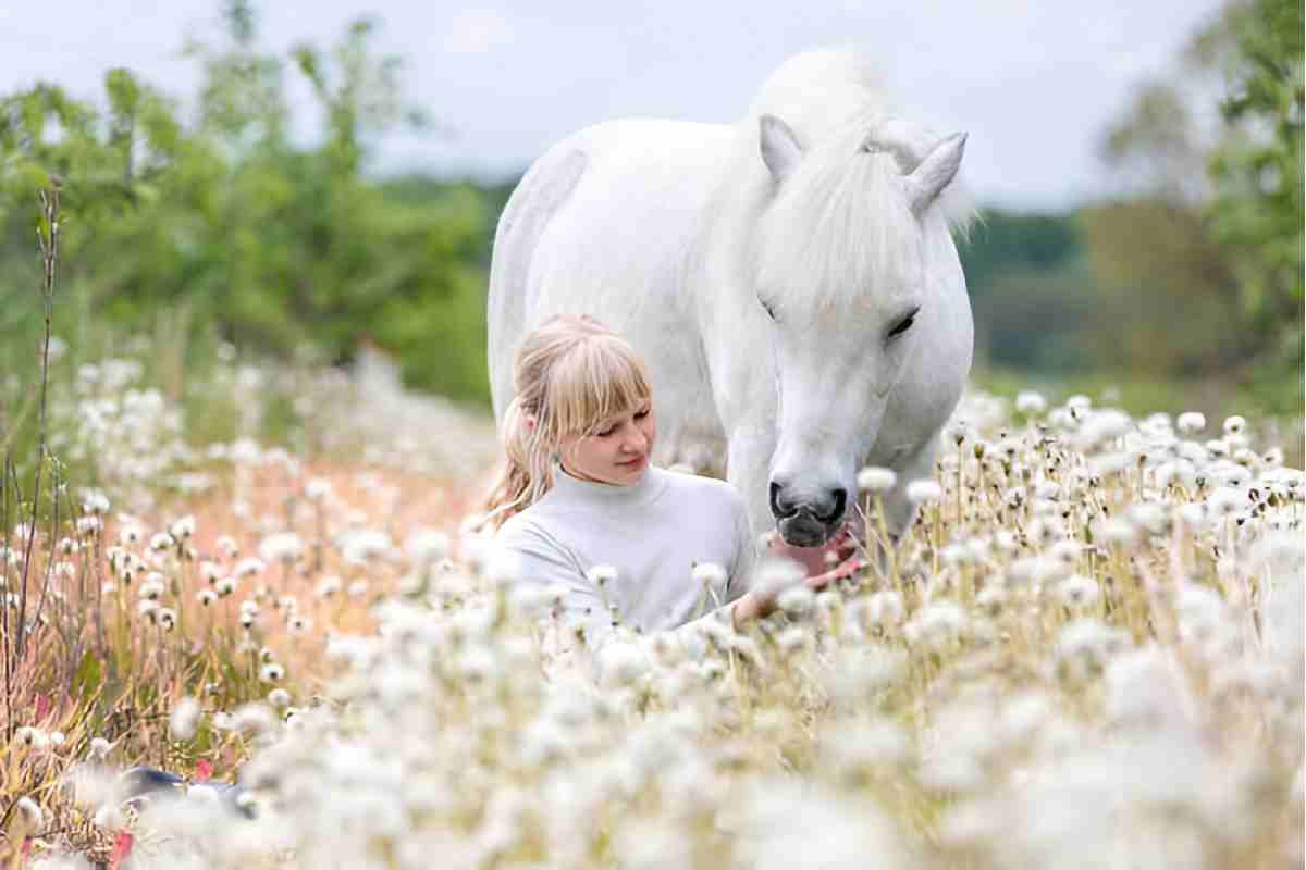 Beautiful:9rmr7xnzchw= Horses