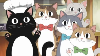 Anime:Tvsddfmwsvg= Cats