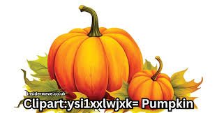 Clipart:Ysi1xxlwjxk= Pumpkin