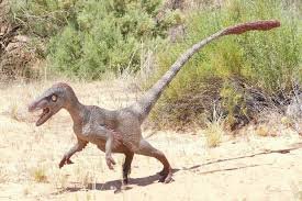 Dinosaur:Imxb5k8elpa= Raptor