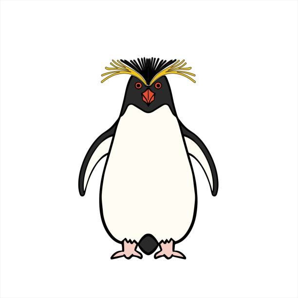 Clipart:Eq5wrhpcrpk= Penguin