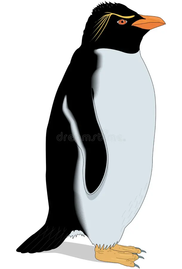 Clipart:Eq5wrhpcrpk= Penguin