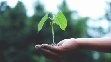 maximize life growth potential