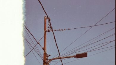 toll free support phone number